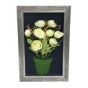 Classy Homes Artificial Plants With Frame, 20x30cm