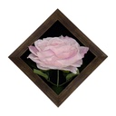 Classy Homes Artificial Plants With Frame, 20x20cm