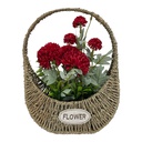 Classy Homes Artificial Plant, 37x27cm