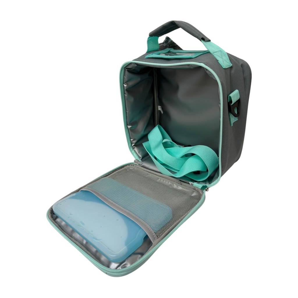 Core Home Top-Handle Lunch Bag - MCH/ONX/OBI/CUR