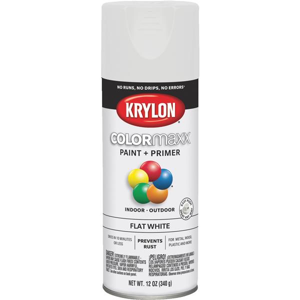 ****Krylon ColorMaxx 12 Oz. Gloss Spray Paint, Watermelon