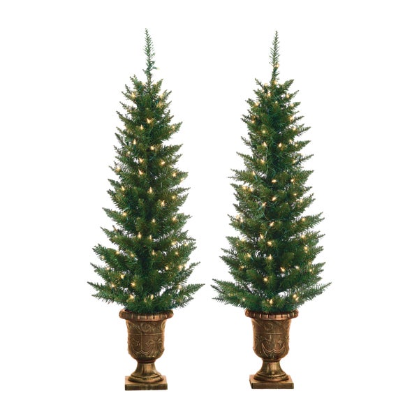 Gerson 4 Ft. Potted Cedar Pine 2set 100-Bulb Clear Incandescent Prelit Artificial Christmas Tree