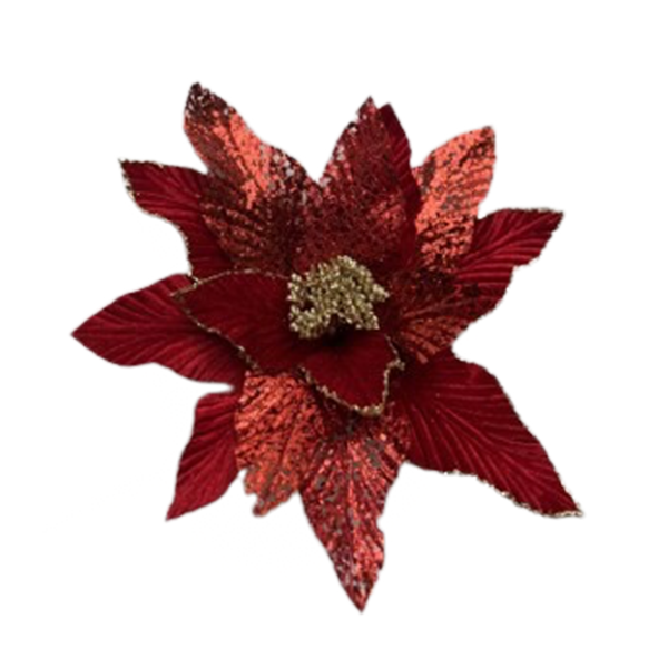 Christmas Poinsettia 20x12cm