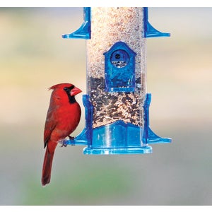 Stokes Select Bird Feeder Jumbo Tube 3.2 Lb. Capacity Plastic, Blueñ