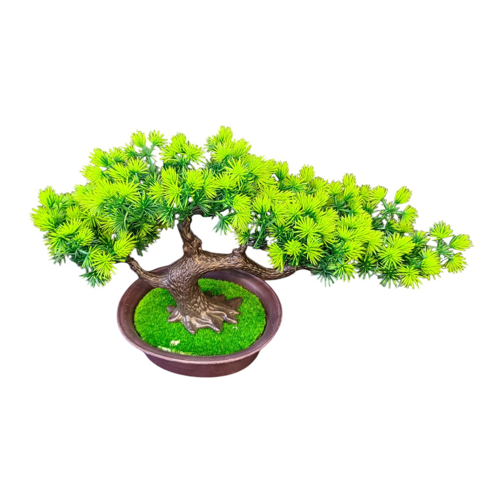 Classy Homes Artificial Bonsai Tree 20cm