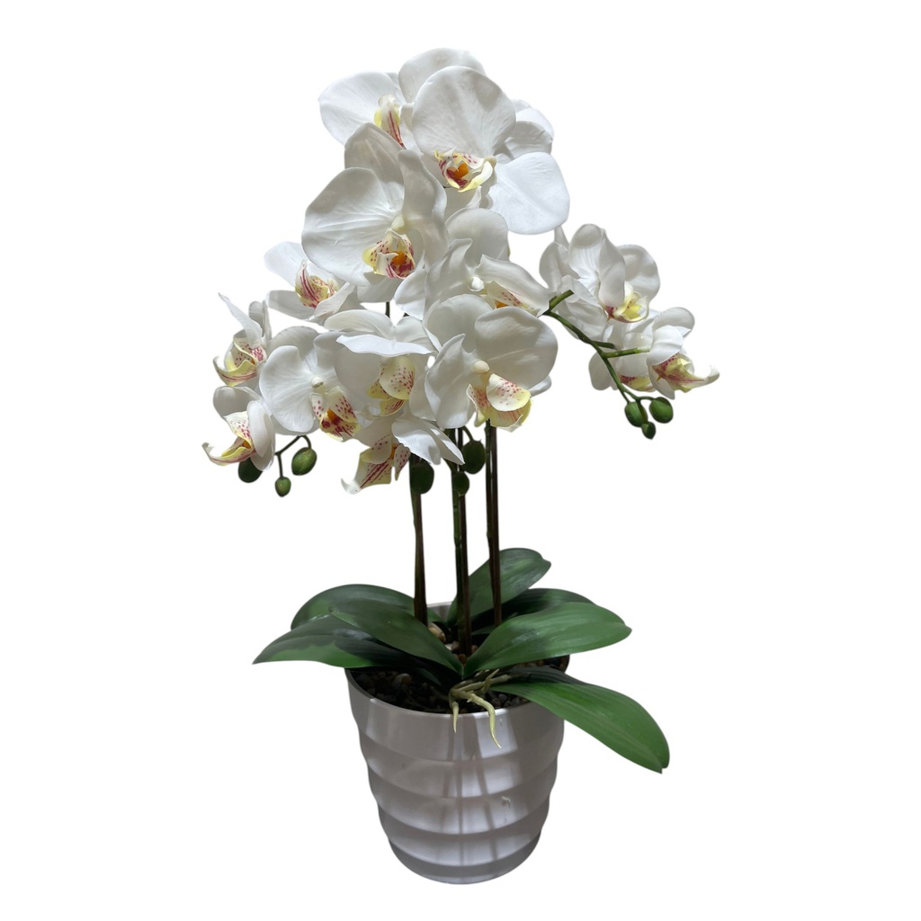 Classy Homes Artificial Plant, 53cm