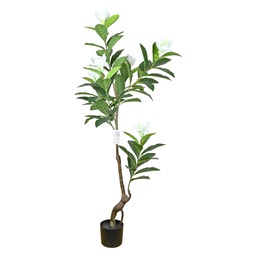 [HHGD-PLNT-01043 (CH1698) CHAP31838] ****Classy Homes Artificial Plant 140Cm