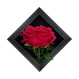 [HHGD-PLNT-01088 (CHLY-0768-27) CHAPF31883] ****Classy Homes Artificial Plants With Frame, 20x20cm