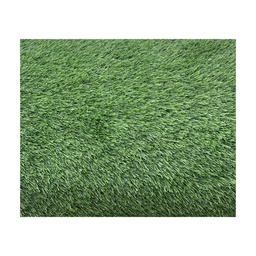 [BST30163-25/ZY-132 / RHBST30163-25 / HHGD-AFGS-01003] Royal Homes Artificial Turf 6.5 x 16.4 Ft. (2x5M)