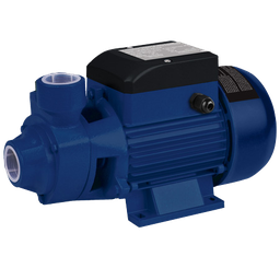 [625PS12110 / 625PS12110-M] Westinghouse Peripheral Pump 1/2HP 115V ETL Approved