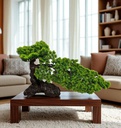 Classy Homes Artificial Plant 40cm