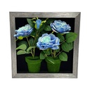 Classy Homes Artificial Plants With Frame, 30x30cm