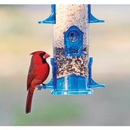 [38030] ****Stokes Select Bird Feeder Jumbo Tube 3.2 Lb. Capacity Plastic, Blueñ