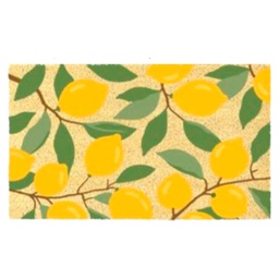 [HHHD-FLMT-01090/RH3335] Classy Homes PVC-Backed Coir Mat with Bleached Base, 18 x 30 In., 15mm Thick